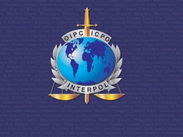 Interpol эмблема