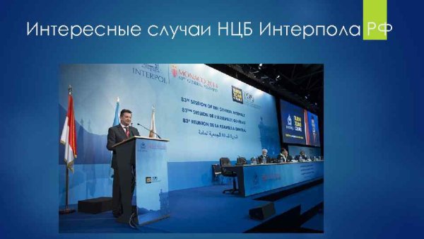 Интерпол Россия