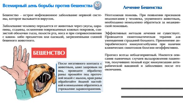 Всемирный день борьбы против бешенства