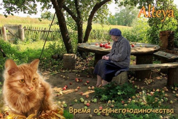 День осеннего одиночества