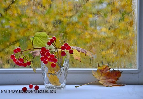 Открытки ко Дню осеннего одиночества