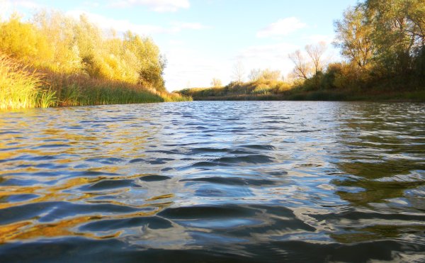 День реки Урал