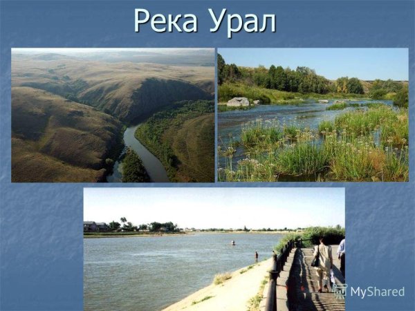 Река Урал презентация