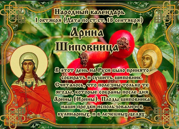 Арина Шиповница 1 октября народный календарь