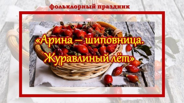 Арина Шиповница праздник