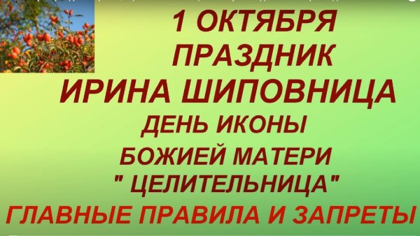 1 Октября Ирина Шиповница