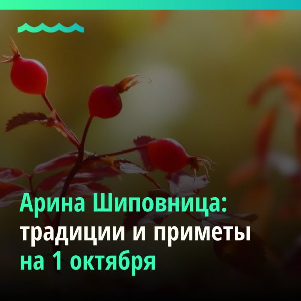 Арина Шиповница праздник