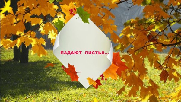 Листья жёлтые медленно падают