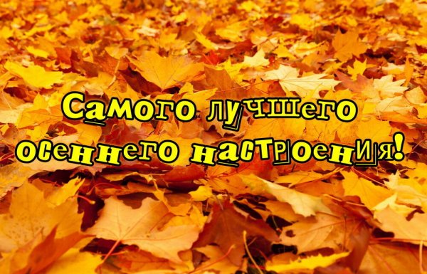 Надпись осенний ковер