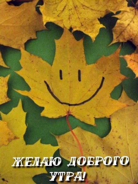 Осенние листочки с улыбкой