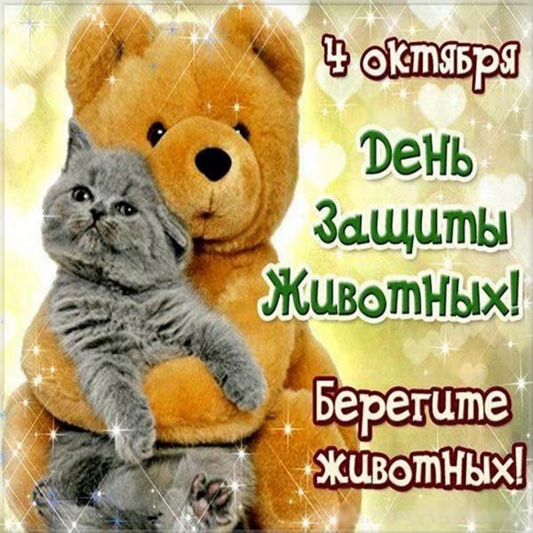 День защиты животных