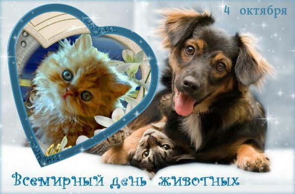 С днем защиты животных поздравления