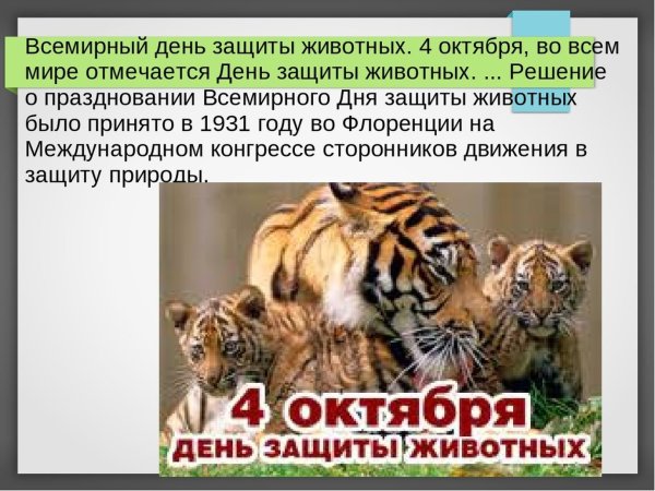 4 Октября Всемирный день защиты животных