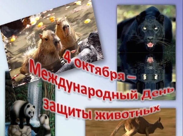 Всемирный день животных