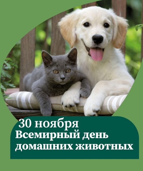 Всемирный день домашних животных 30 ноября