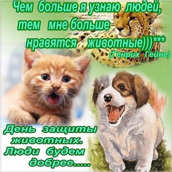 Международный день защиты животных