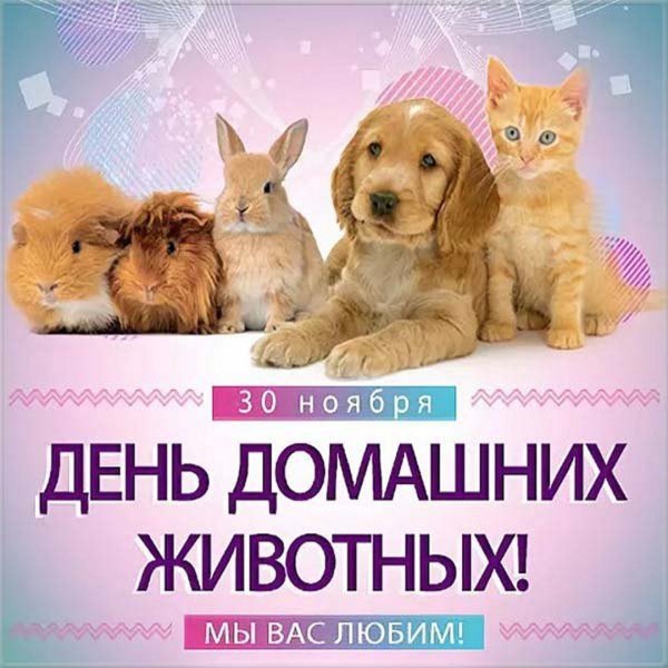 Всемирный день домашних животных