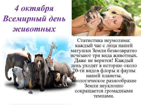 День животных