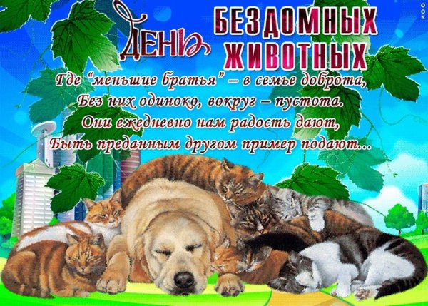 День животных