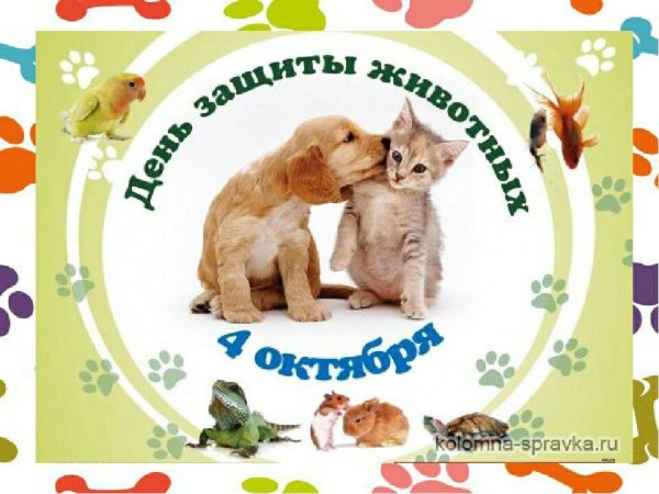 День защиты животных