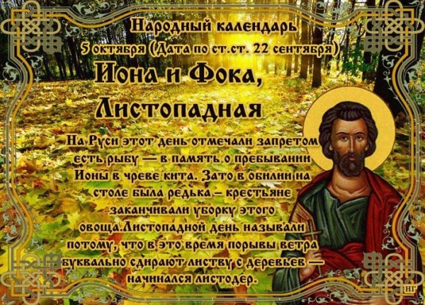 Иона и ФОКА (Листопадная)