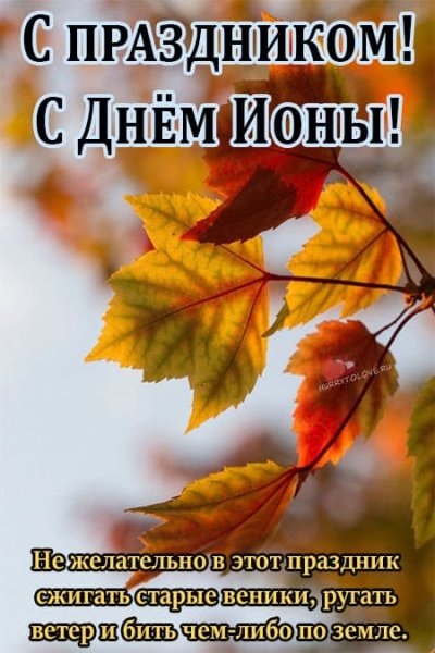 С листопадным днем