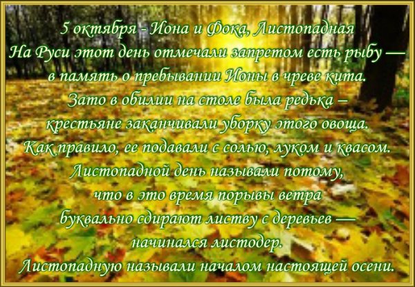 Иона и ФОКА Листопадная 5 октября