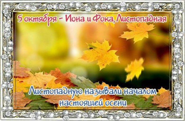 Иона и ФОКА (Листопадная)