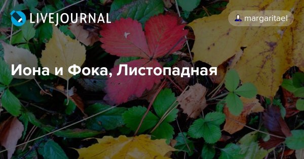 Иона и ФОКА (Листопадная) Иона и ФОКА (Листопадная)