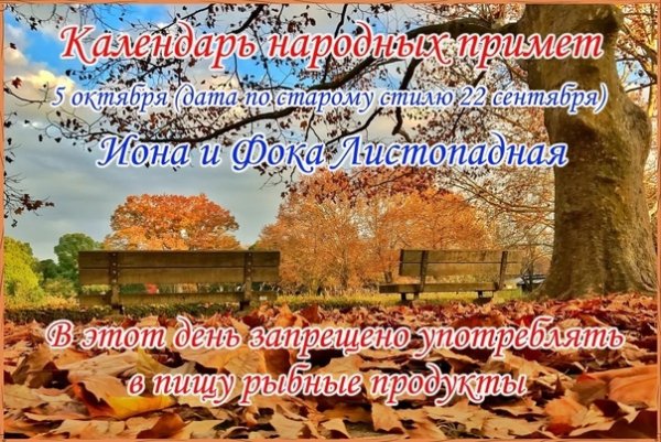5 Октября Иона и ФОКА