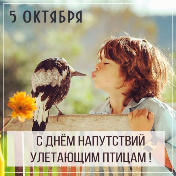 Напутствие улетающим птицам