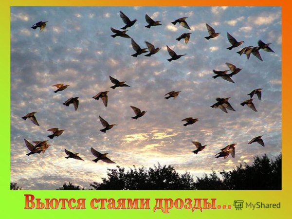 День напутствий улетающим птицам