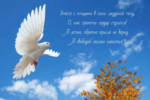 Поздравление со свободой
