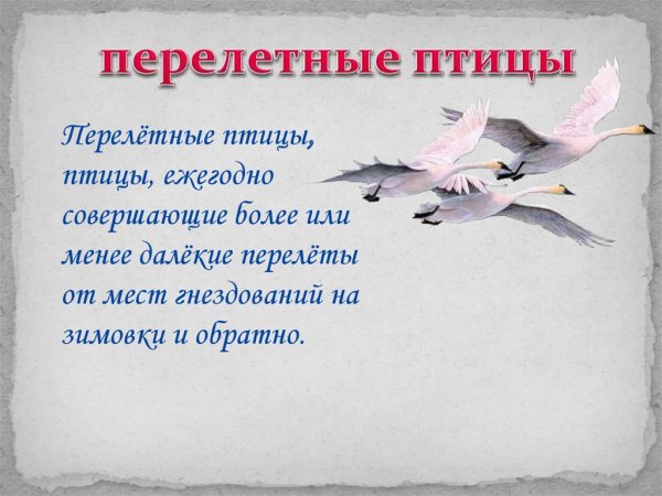 Стихи про перелетных птиц