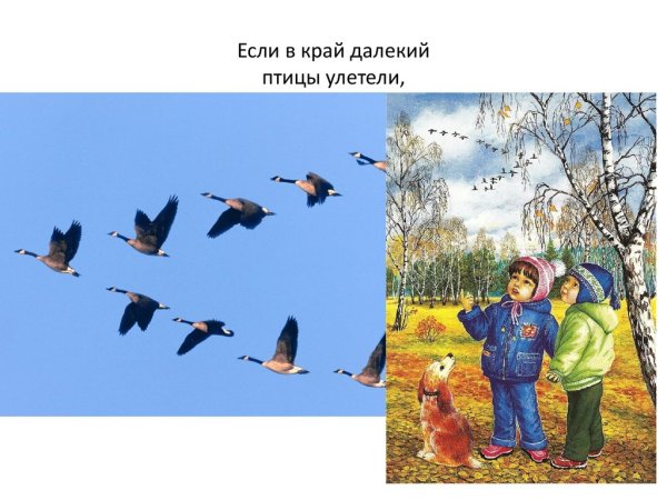 Птицы осенью для дошкольников