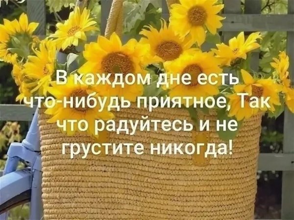 Хорошее в каждом дне