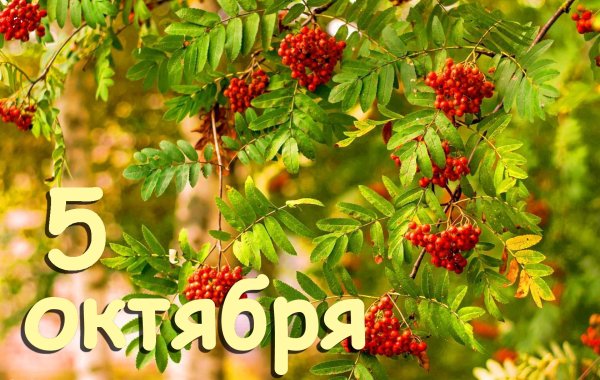 5 Октября календарь