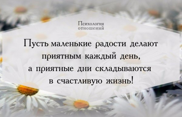 Радость жизни цитаты