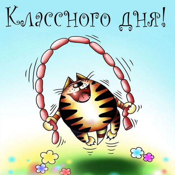 Здравствуйте картинки