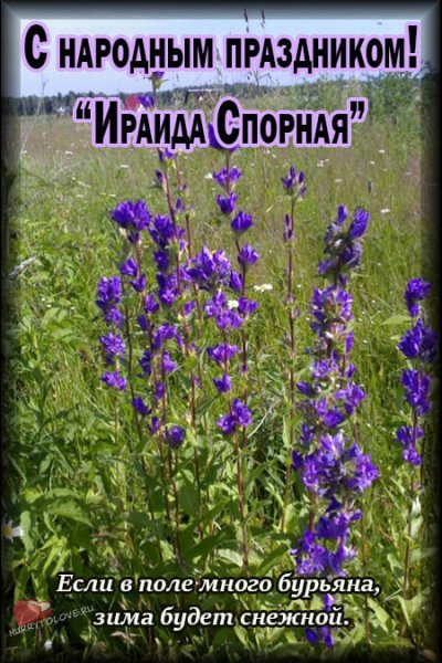 Ираида спорная народный праздник