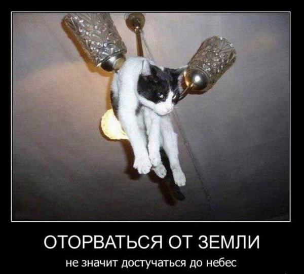 Люстра с котиками