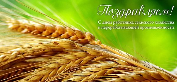 С днем сельского хозяйства и перерабатывающей промышленности
