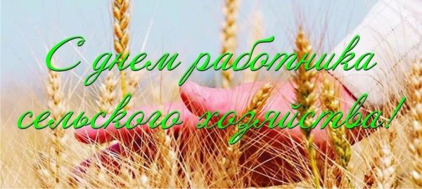 День труженика сельского хозяйства