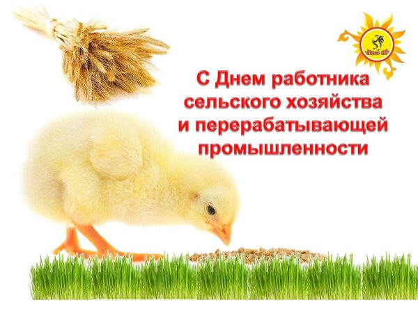 Поздравление с днем сельского хозяйства