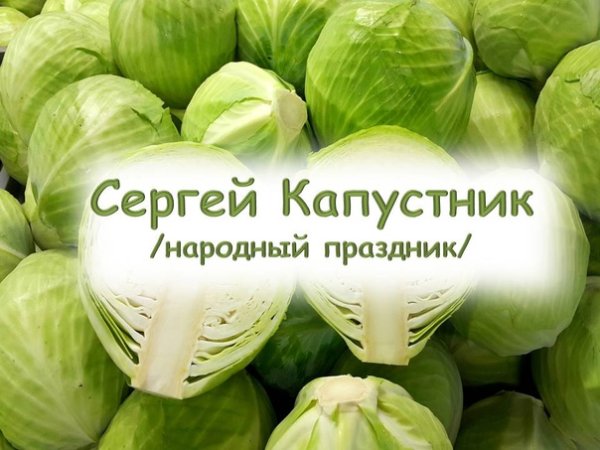 Сергей капустник