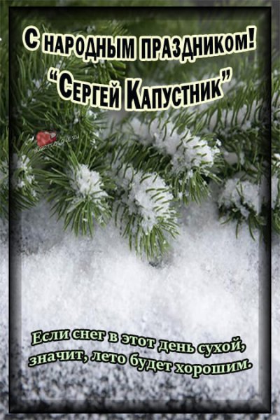 Сергей капустник праздник