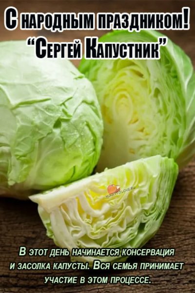 Сергей капустник