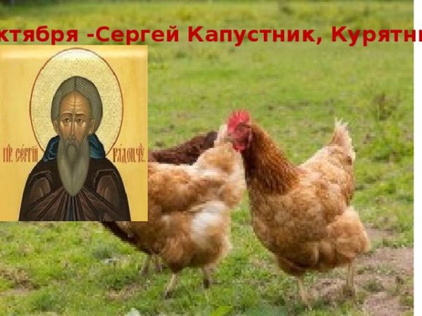 Сергей капустник (Сергей-курятник)