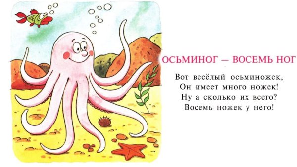Загадка про осьминога
