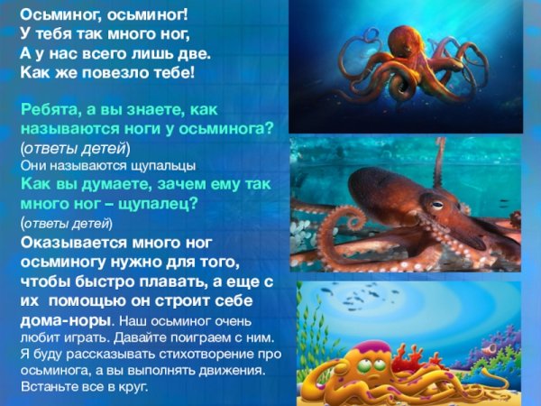 Осьминог для презентации